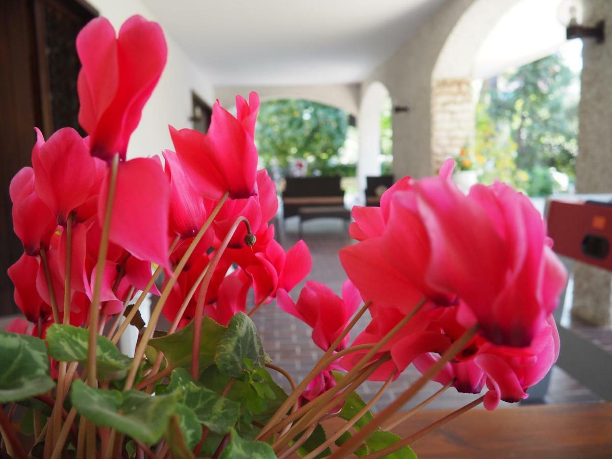 B&B Villa Filotea & Apartment Дезенцано-дель-Гарда Экстерьер фото